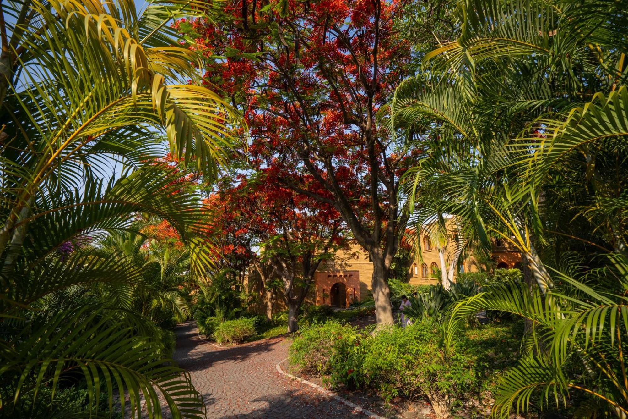 Mision Del Sol Resort & Spa Adults Only Κουερναβάκα Εξωτερικό φωτογραφία